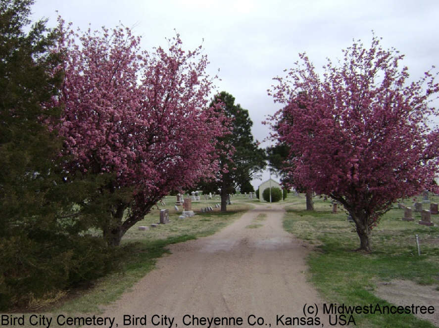 Bird City Cemetery