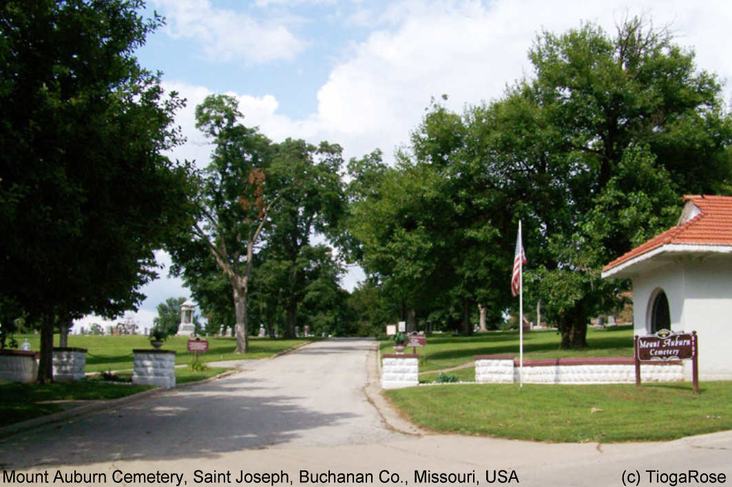 Mount Auburn Cemetery