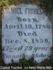 Fischel, Daniel