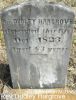 Rev Dudley Harbrove