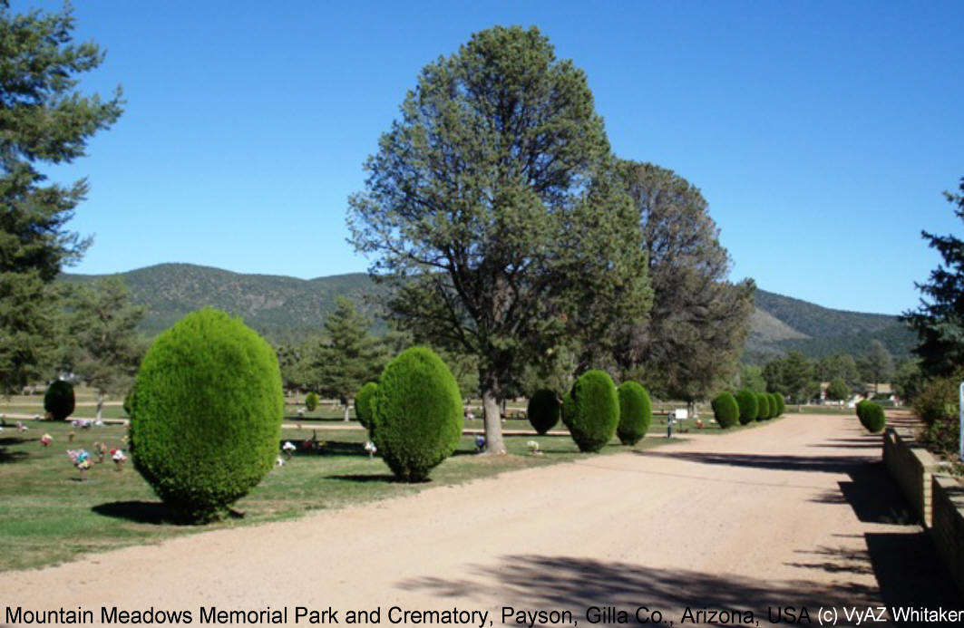 Mountain Meadows Memorial Park and Crematory