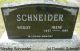 Schneider, Wesley